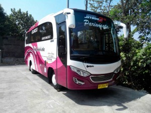 Bus pariwisata jogja 33